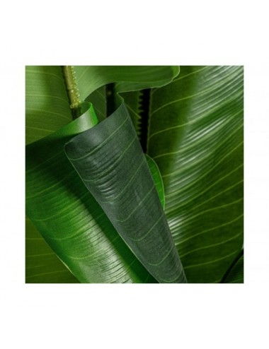 Planta Bananera Poliéster 60x60x135 Estilo Colonial - 3