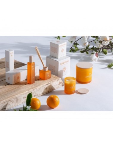 Mikado Harmony Vidrio 6x6x26 Estilo Shabby Chic - 4