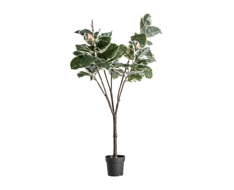 Planta Roble Blanco Plástico 75x75x178 Estilo Clásico - 1