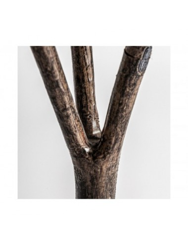 Planta Roble Blanco Plástico 75x75x178 Estilo Clásico - 4