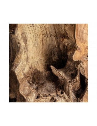 Mesa De Centro Bisko Madera De Teka 50x50x42 Estilo Étnico - 5