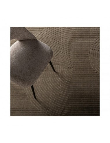 Alfombra Niara Viscosa 340x1x240 Estilo Clásico - 4