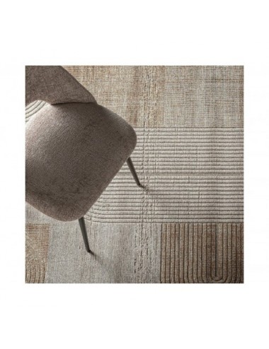 Alfombra Chaniya Viscosa 340x240x1 Estilo Clásico - 4