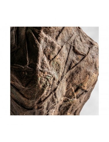 Busto Jam Papel Maché 30x15x82 Estilo Contemporáneo - 3