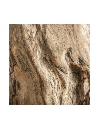 Mesa De Centro Khaled Madera Suar 100x57x40 Estilo Étnico - 8