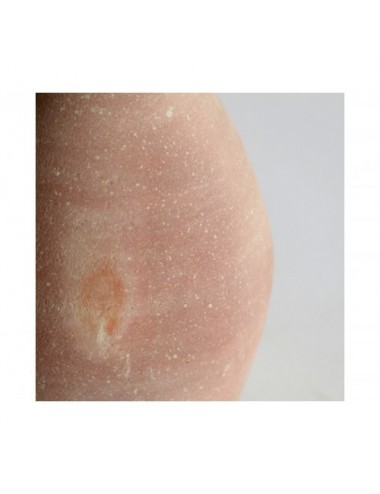 Jarrón Halle Arcilla 24x24x53 Estilo Colonial - 3