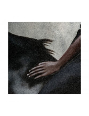 Cuadro Adonis Lienzo 143x5x183 Estilo Contemporáneo - 1