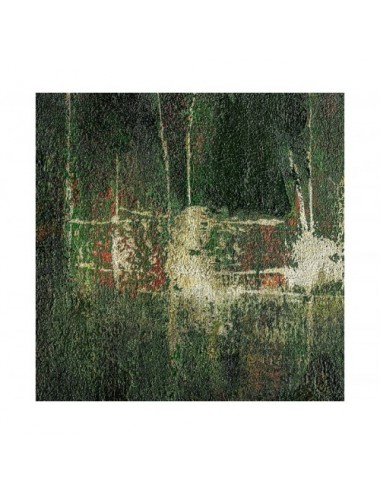 Lienzo Alerce Lienzo 200x4x200 Estilo Contemporáneo - 1