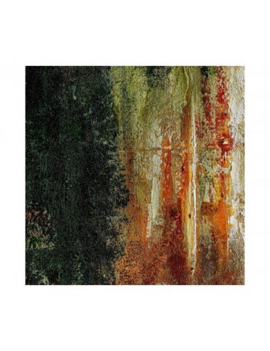 Lienzo Alerce Lienzo 200x4x200 Estilo Contemporáneo - 3