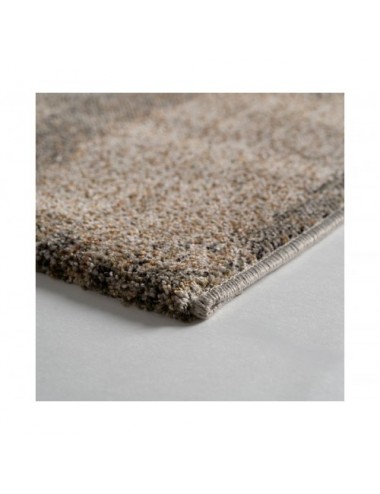 Alfombra Dora Poliéster 340x240x1 Estilo Clásico - 3