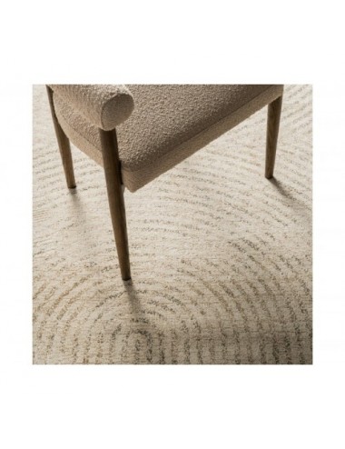 Alfombra Delia Poliéster 340x240x1 Estilo Clásico - 5