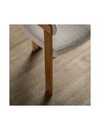 Alfombra Eva Viscosa 300x200x1 Estilo Clásico - 6