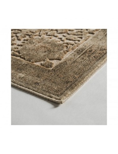 Alfombra Laia Viscosa 340x240x1 Estilo Clásico - 3