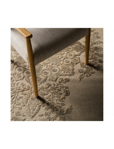 Alfombra Laia Viscosa 340x240x1 Estilo Clásico - 5