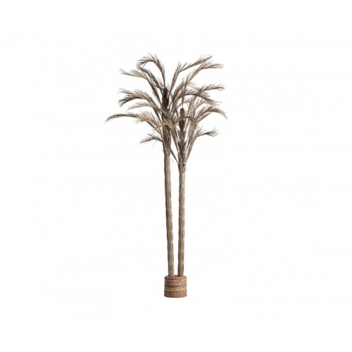 Planta Areca Fibra Natural 100x100x250 Estilo Boho - 1