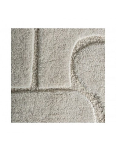 Alfombra Amelie Lana 350x240x1 Estilo Clásico - 3