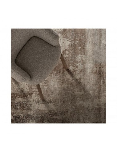 Alfombra Kalea Viscosa 340x240x1 Estilo Clásico - 4