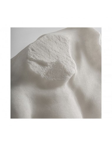 Busto Layne Resina 31x18x63 Estilo Contemporáneo - 3