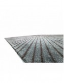 Alfombra Twilight palm leaf 250x350 Polyester Range - 1