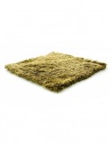 Alfombra SG Northern Soul green grass 200x200 Wool Range - 1