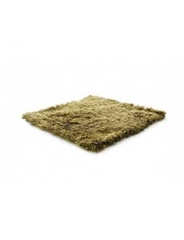 Alfombra SG Northern Soul green grass 300x400 Wool Range - 3